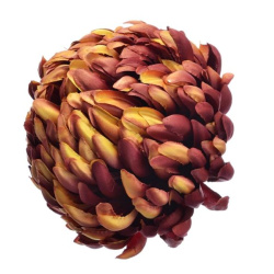 Chryzantema głowa 15cm ART037 gold burgundy