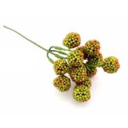 Jeżyny Blackberry pick 19cm  Green