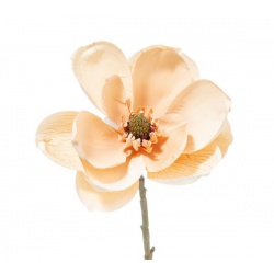 PICK MAGNOLIA 35CM CREAM BUTTER