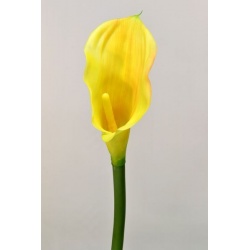 CALLA GUMA 70 CM  AL45537 YELLOW GREEN