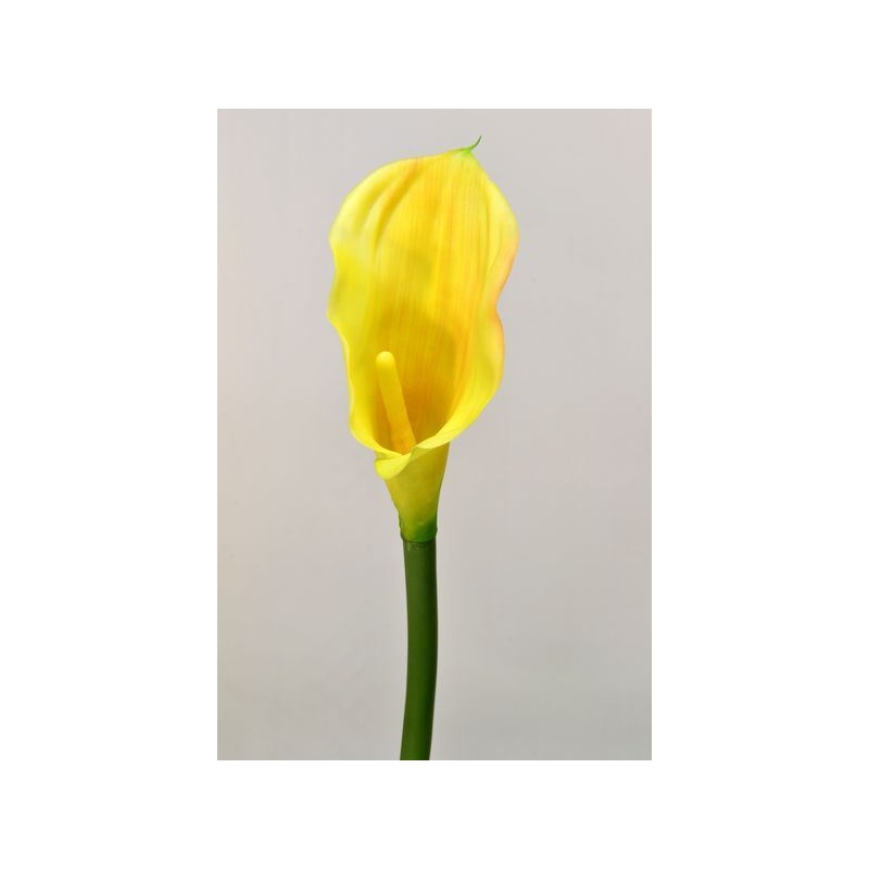 CALLA GUMA 70 CM  AL45537 YELLOW GREEN