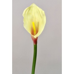 CALLA GUMA 70 CM  AL45537 LT. YELLOW PINK