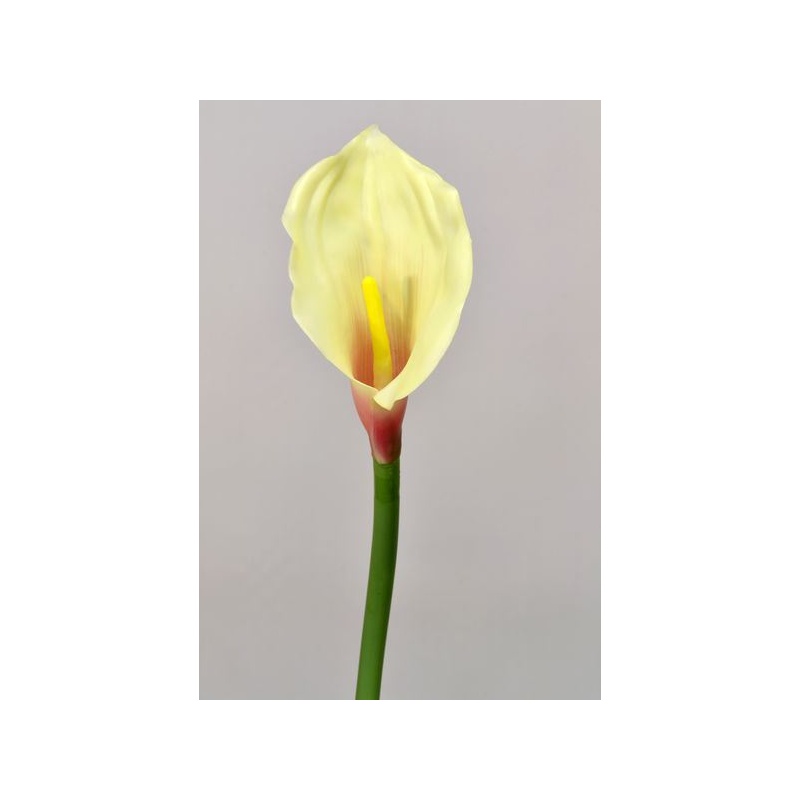 CALLA GUMA 70 CM  AL45537 LT. YELLOW PINK