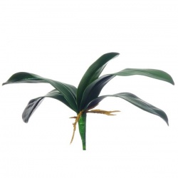 LIŚĆ STORCZYKA GUMA 36CM GREEN