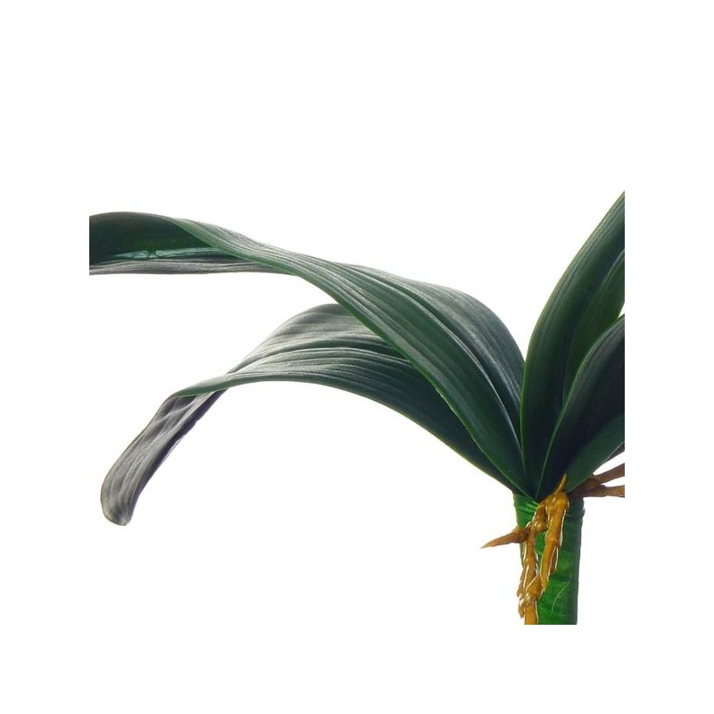 LIŚĆ STORCZYKA GUMA 36CM GREEN