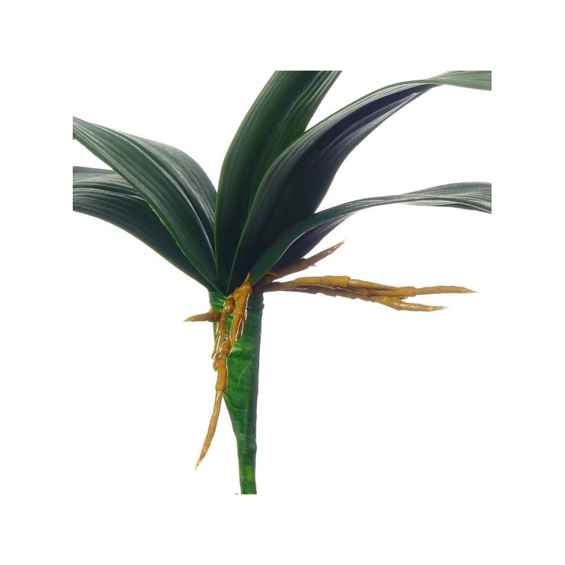 LIŚĆ STORCZYKA GUMA 36CM GREEN