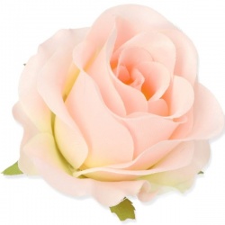 RÓŻA VIVALDI GŁÓWKA 8CM /3202 CREAM PINK XYBE321