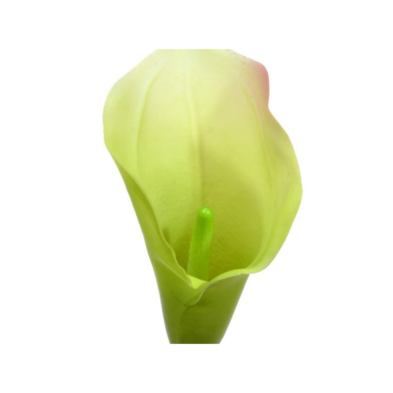 CALLA GUMA LUX 72CM SOFT GREEN PINK