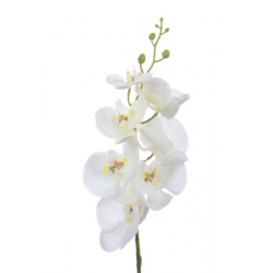 Storczyk guma 85cm Aj45598 White w yc
