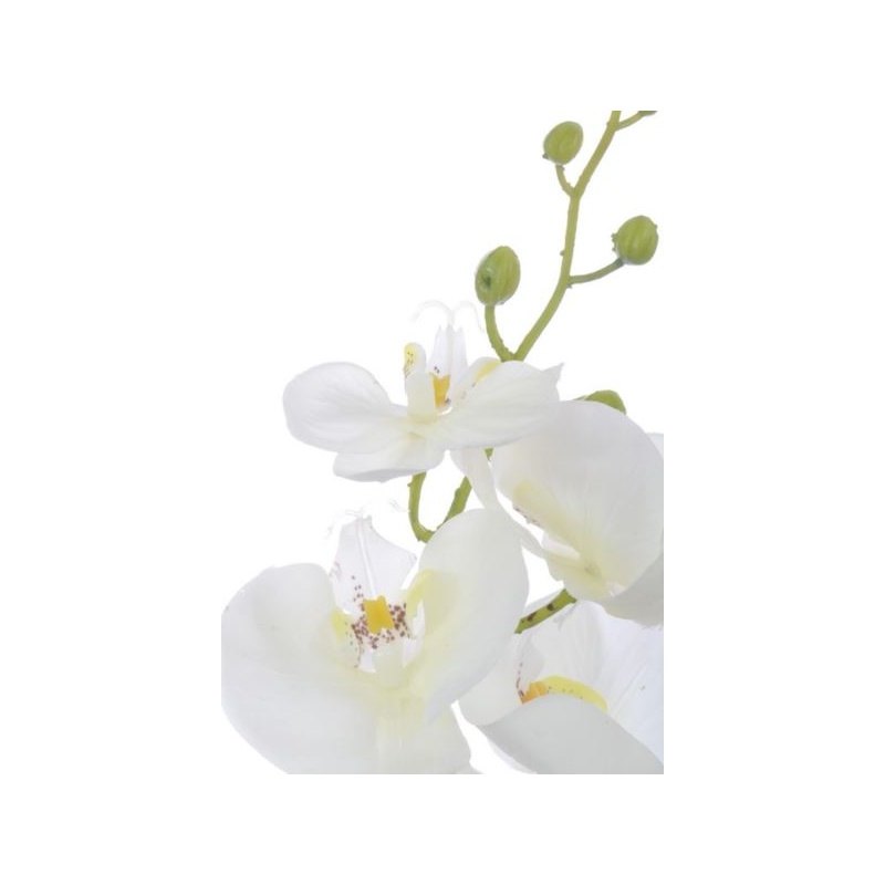 Storczyk guma 85cm Aj45598 White w yc