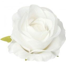 RÓŻA VIVALDI GŁÓWKA 8CM /3202 PURE WHITE W27