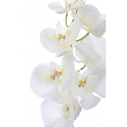 Storczyk guma 85cm Aj45598 White w yc