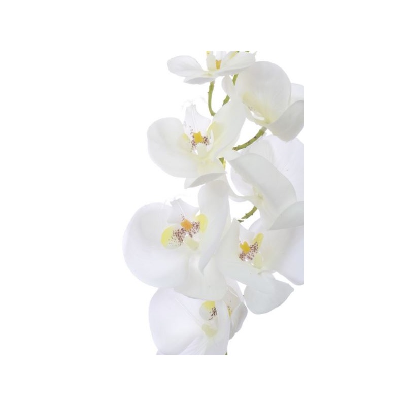 Storczyk guma 85cm Aj45598 White w yc