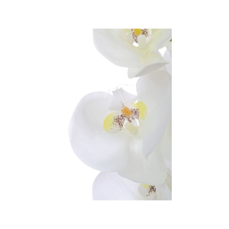 Storczyk guma 85cm Aj45598 White w yc