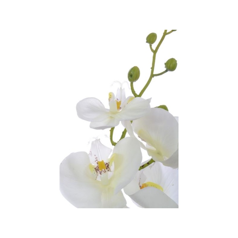 Storczyk guma 85cm Aj45598 White w yc