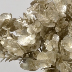 BUKIET EUKALIPTUS BROKATOANY 30CM CHAMPAGNE