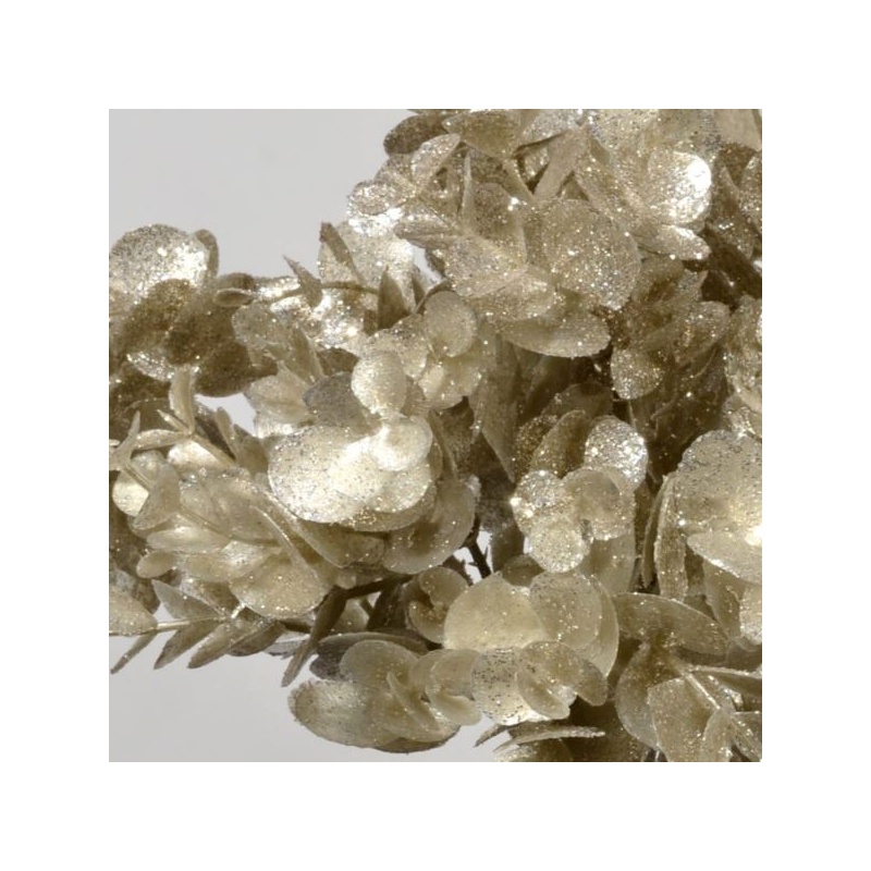 BUKIET EUKALIPTUS BROKATOANY 30CM CHAMPAGNE