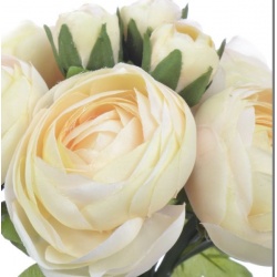 Ranunnculus duzy x9 bukiet