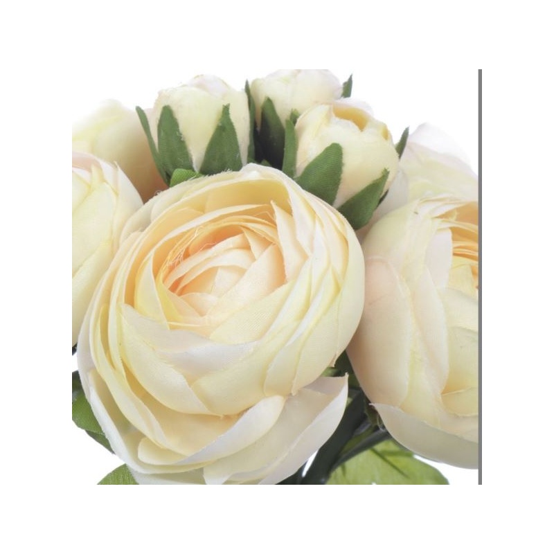 Ranunnculus duzy x9 bukiet