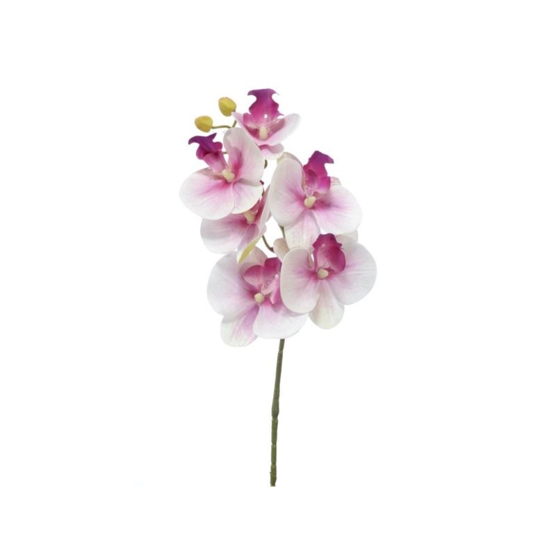 STORCZYK PHALENOPSIS 6 KWIATÓW 70CM PINK WHITE