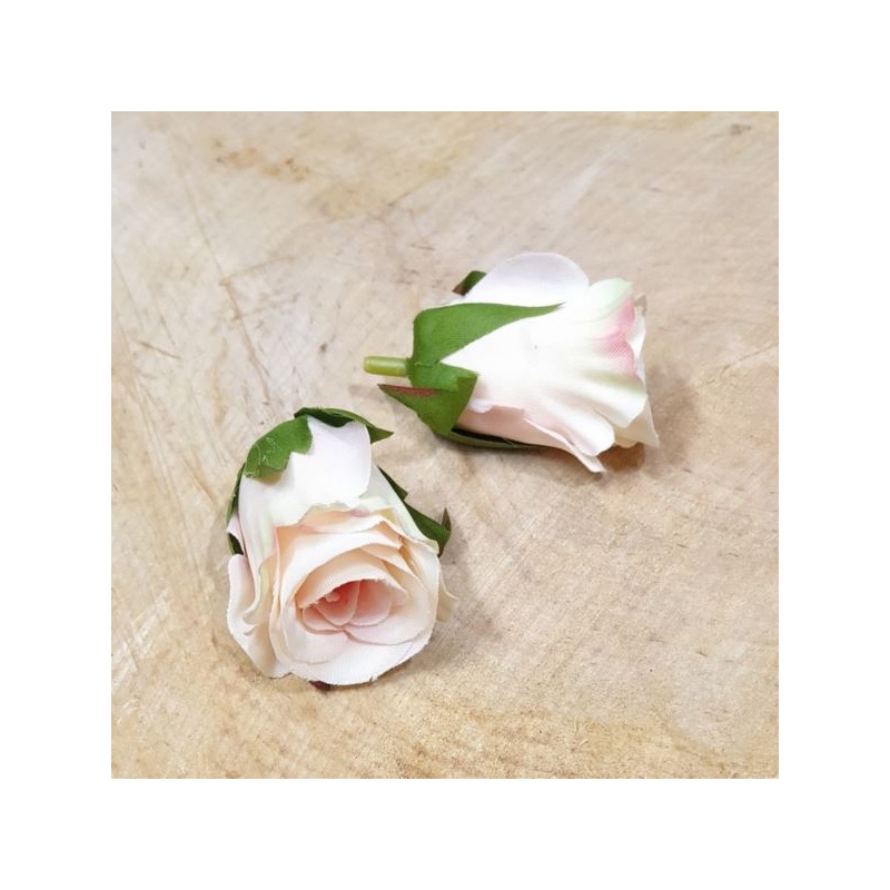 RÓŻA GŁÓWKA PĄK 3CM SUN421 DELICATE APRICOT