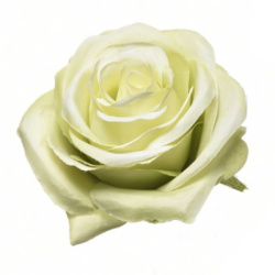 RÓŻA WYROBOWA 8CM SUN385 GREEN