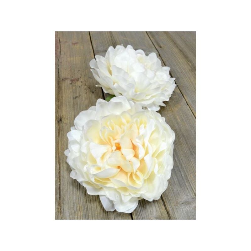 PEONIA GŁOWA 15CM SUN406 IVORY