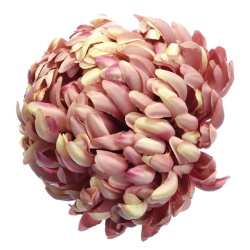 Chryzantema głowa 15cm ART037 mauve