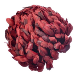 Chryzantema głowa 15cm ART037 burgundy