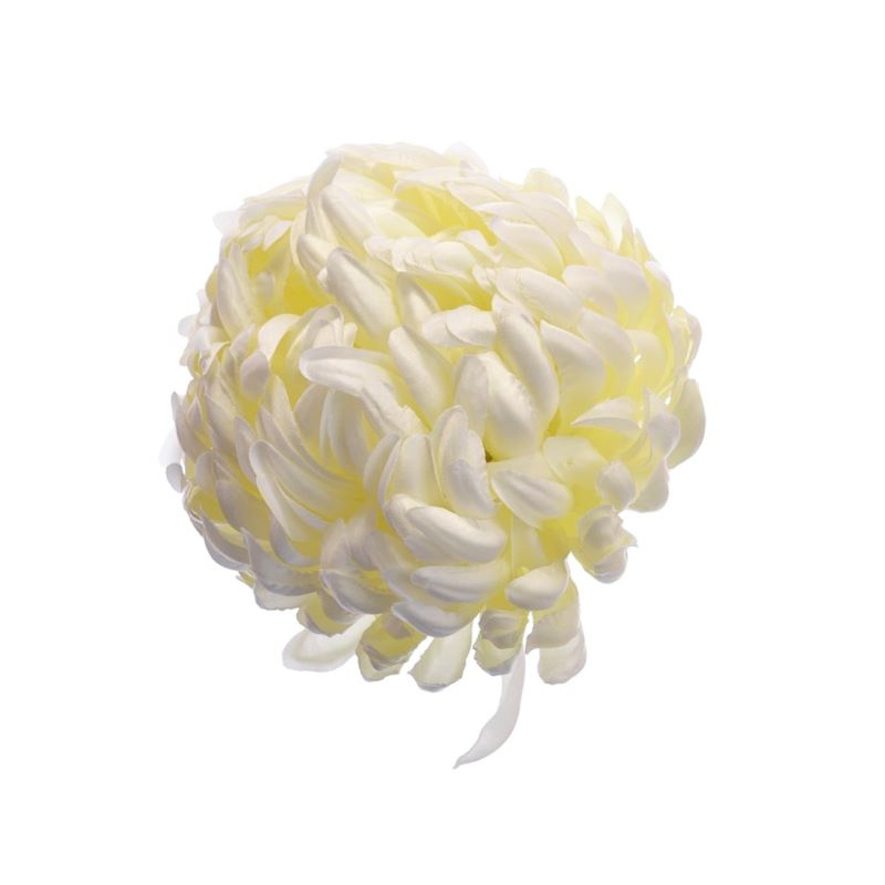 Chryzantema głowa 15cm ART037 white