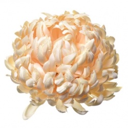 Chryzantema głowa 15cm ART037 vanilla 4
