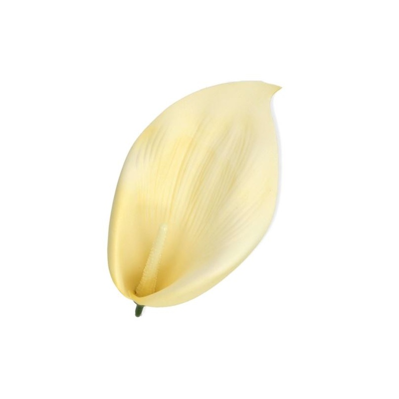 CALLA PIANKOWA GŁOWA 18CM / B0002A CREAM YELLOW