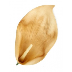 CALLA PIANKOWA GŁOWA 18CM / B0002A BEIGE BROWN