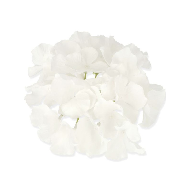 HORTENSJA GŁÓWKA 17CM / LE18  PURE WHITE