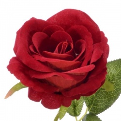 RÓŻA POJEDYŃCZA WELUR 50CM RED