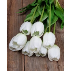 TULIPAN POJEDYNCZY GUMA - NEW 38CM WHITE GREEN