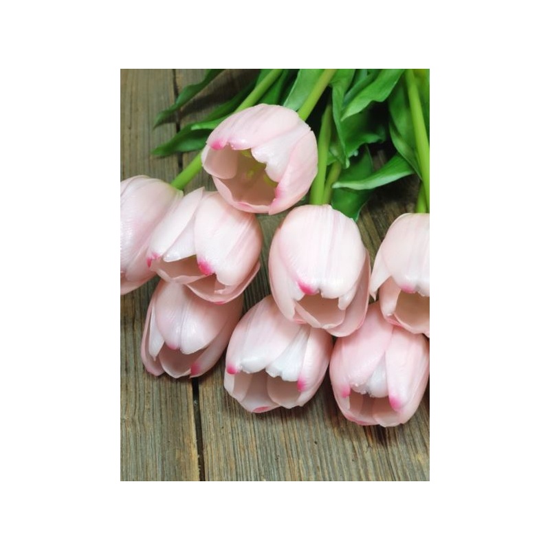 TULIPAN POJEDYNCZY GUMA - NEW 38CM LT PINK
