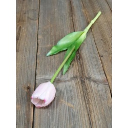 TULIPAN POJEDYNCZY GUMA - NEW 38CM LT PINK