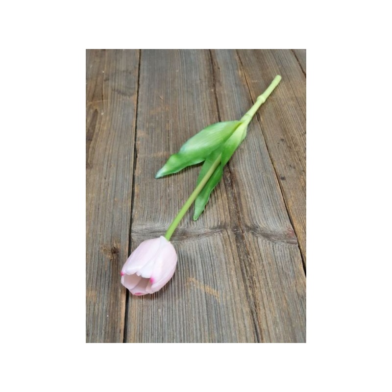 TULIPAN POJEDYNCZY GUMA - NEW 38CM LT PINK