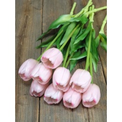 TULIPAN POJEDYNCZY GUMA - NEW 38CM LT PINK