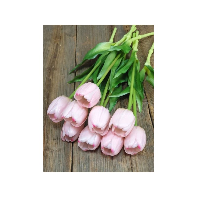 TULIPAN POJEDYNCZY GUMA - NEW 38CM LT PINK