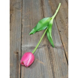 TULIPAN POJEDYNCZY GUMA - NEW 38CM BEAUTY PINK