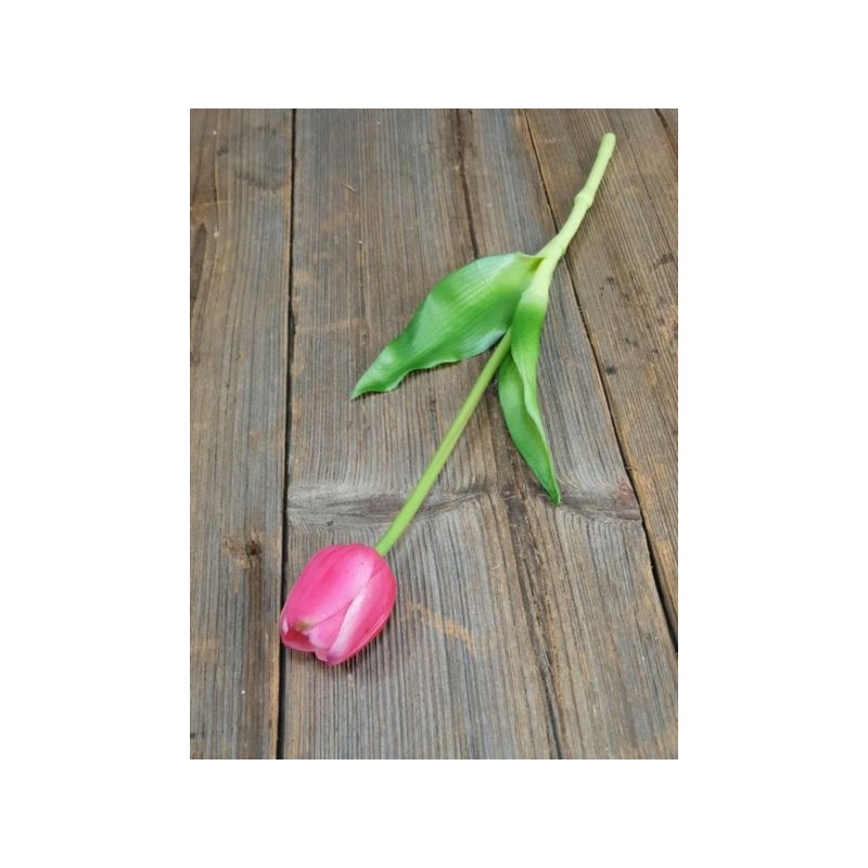 TULIPAN POJEDYNCZY GUMA - NEW 38CM BEAUTY PINK