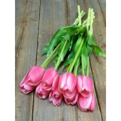 TULIPAN POJEDYNCZY GUMA - NEW 38CM BEAUTY PINK