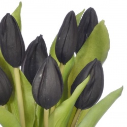 PĘCZEK TULIPANÓW W PĄKU 32CM BLACK