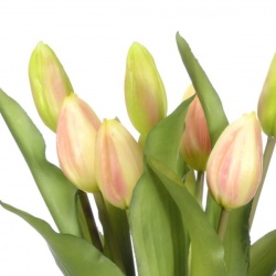 PĘCZEK TULIPANÓW W PĄKU 32CM LT PINK