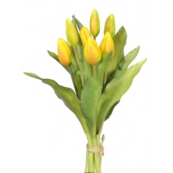 PĘCZEK TULIPANÓW W PĄKU 32CM NEW YELLOW GREEN