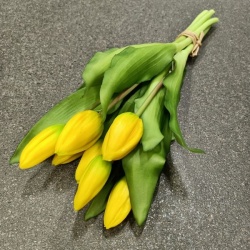 PĘCZEK TULIPANÓW W PĄKU 32CM YELLOW