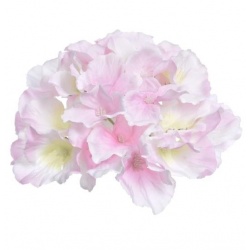 HORTENSJA GŁÓWKA 15CM SUN644 SWEET PINK LT GREEN