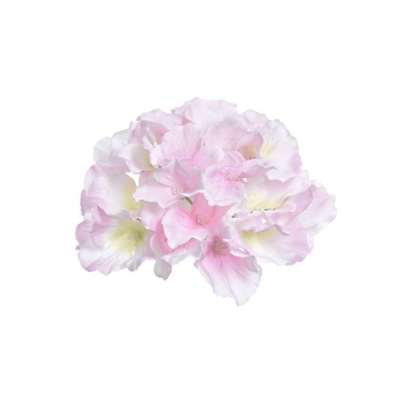 HORTENSJA GŁÓWKA 15CM SUN644 SWEET PINK LT GREEN